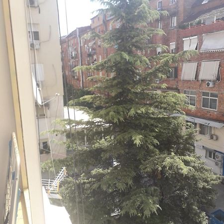Jolie Center Apartment Tirana Zewnętrze zdjęcie